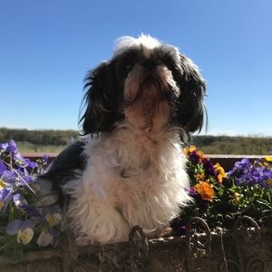 Meet your Posher, Catherine